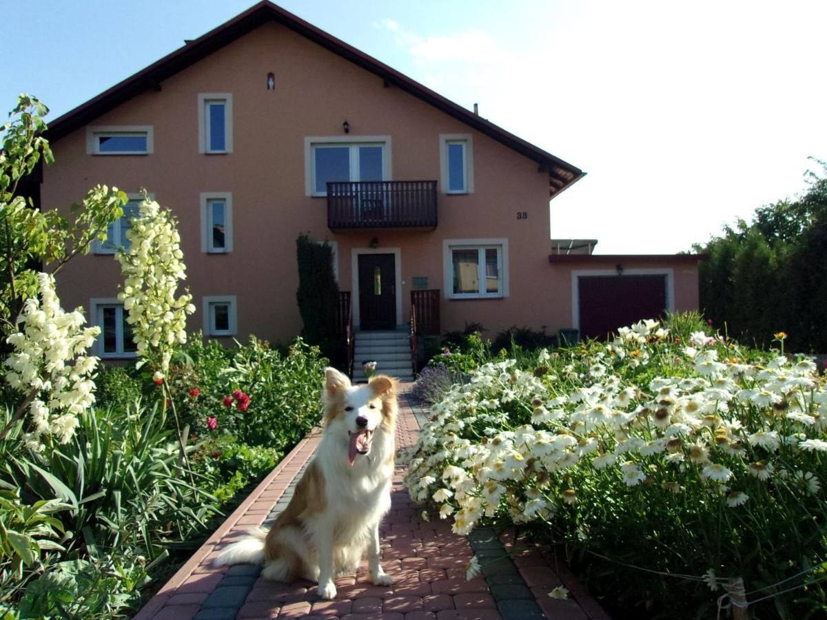Agroturystyka U Basi Wola Kalinowska ภายนอก รูปภาพ